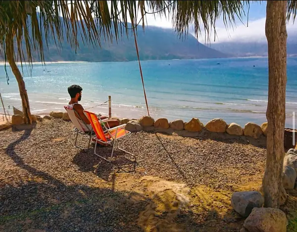 A deckchair under a palm tree looking out over a wide turquoise bay